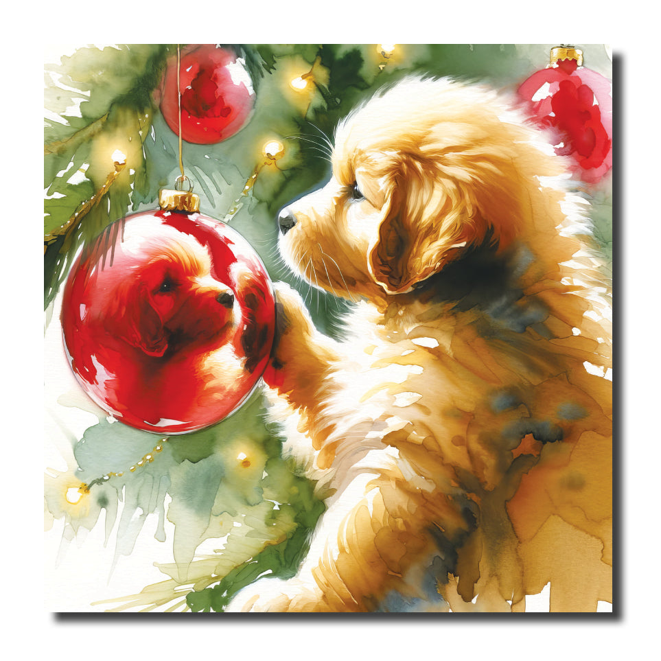 KJ55c - Puppy Reflection