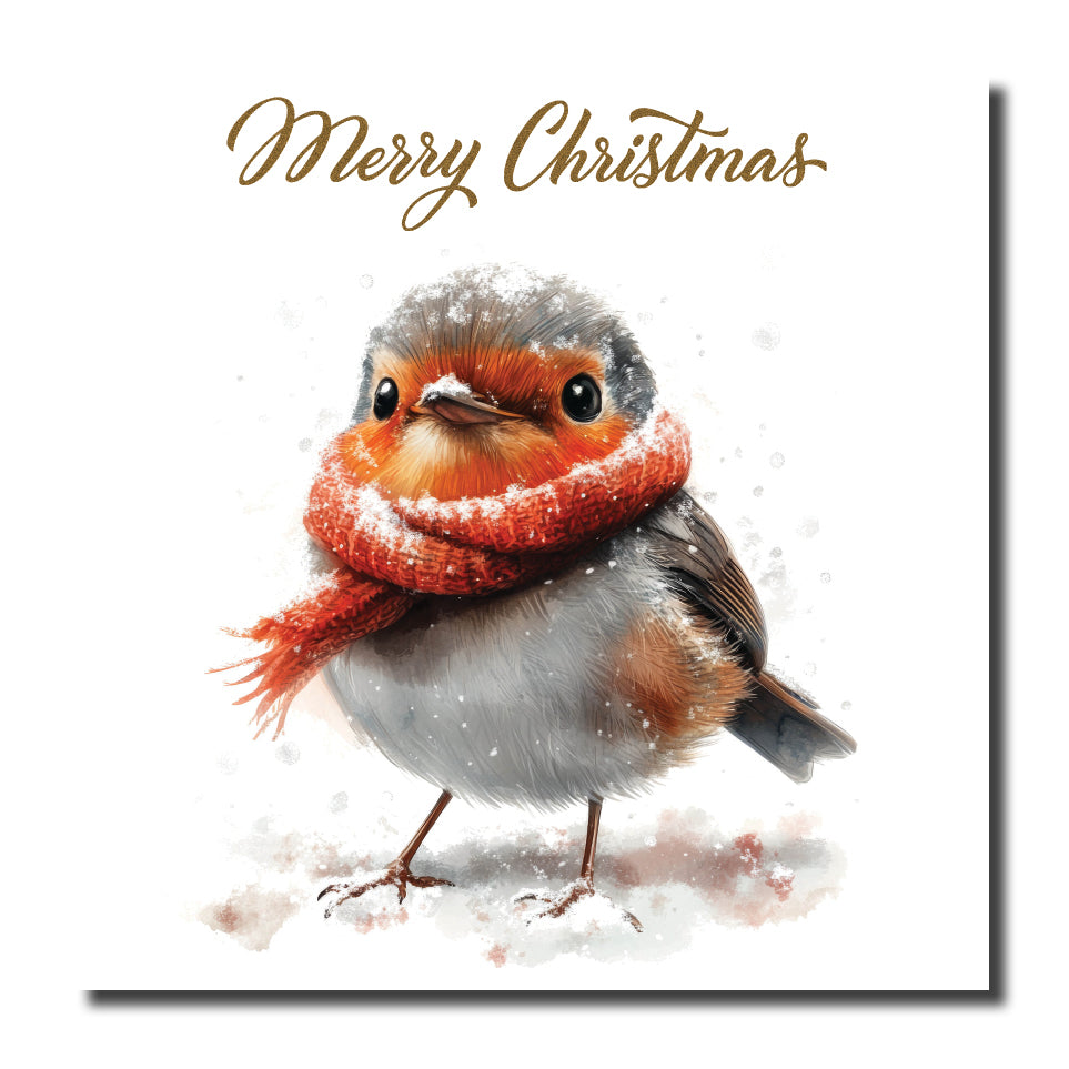 KK12c - Warm Robin