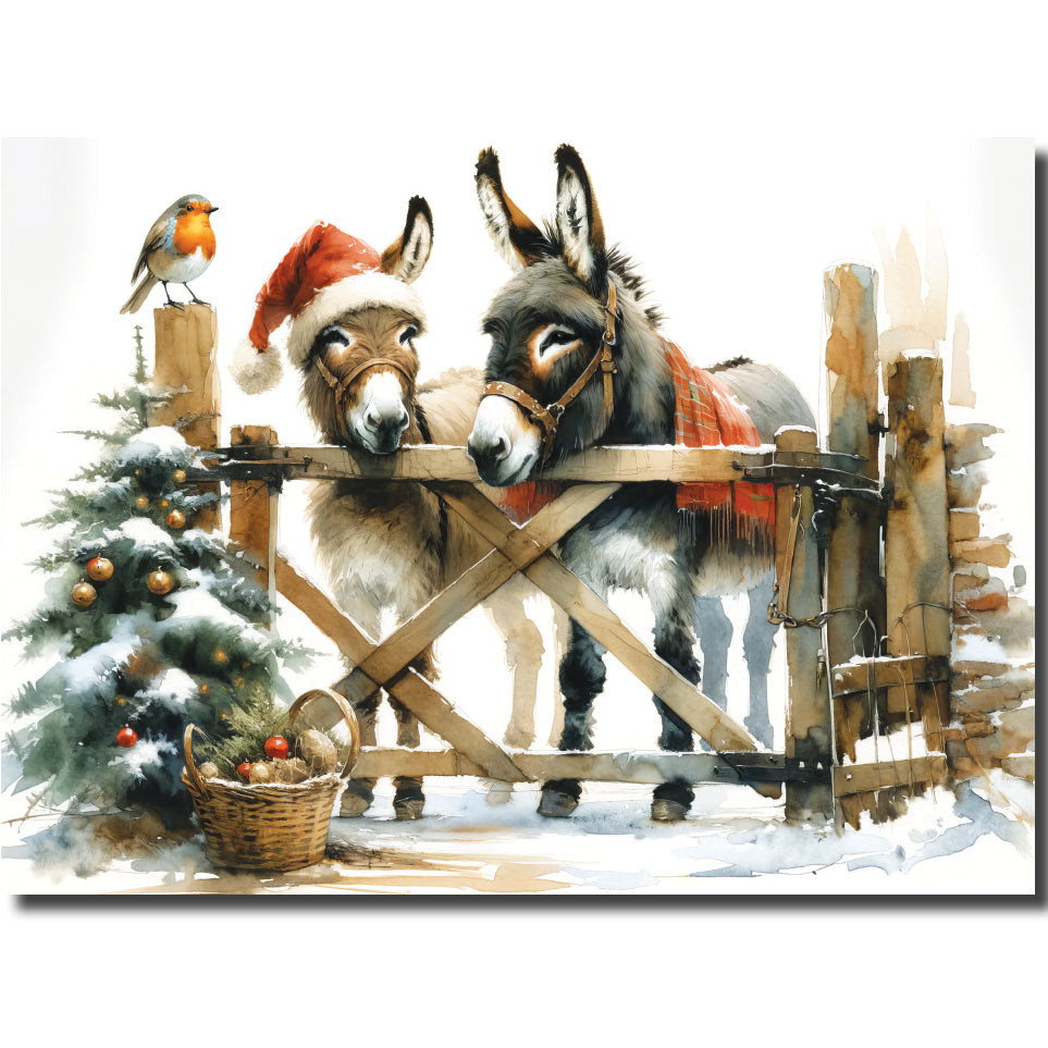 KK29b - Robin and Donkeys