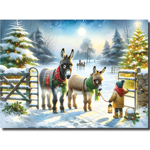 KK46b - Walking the Donkeys