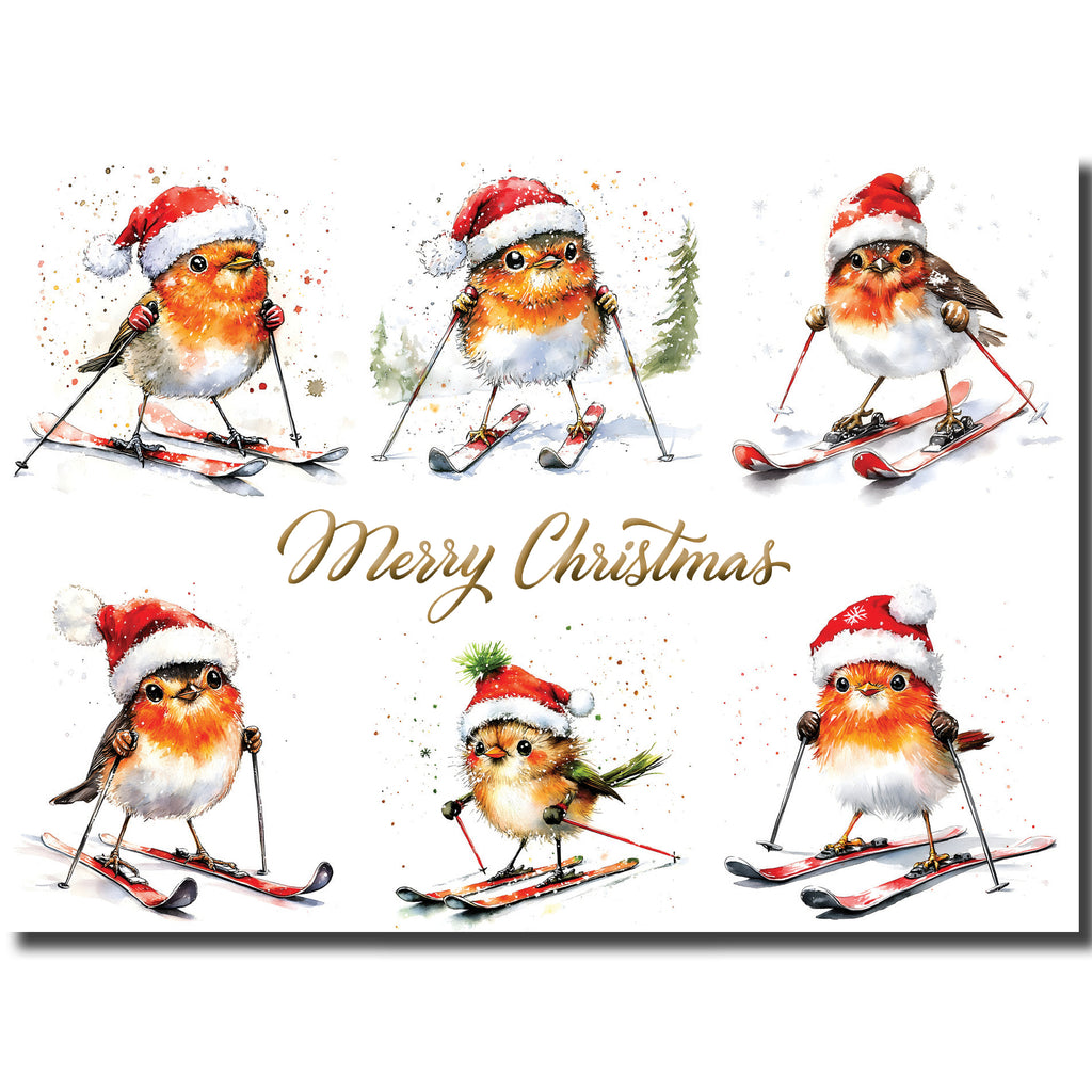 KK64b - Skiing Robins