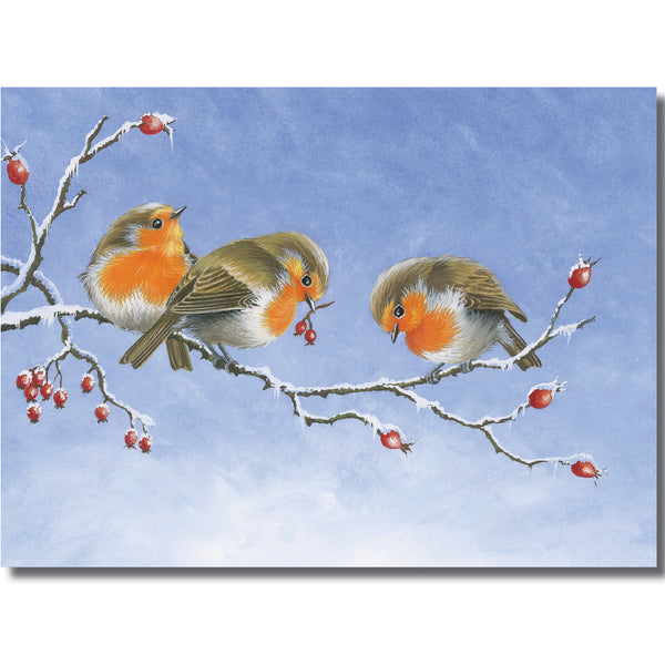 KH27b - Robins and Berries
