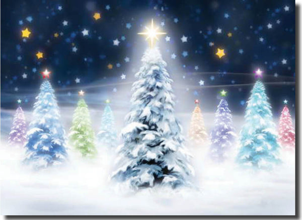 KH40b - Starlit Trees
