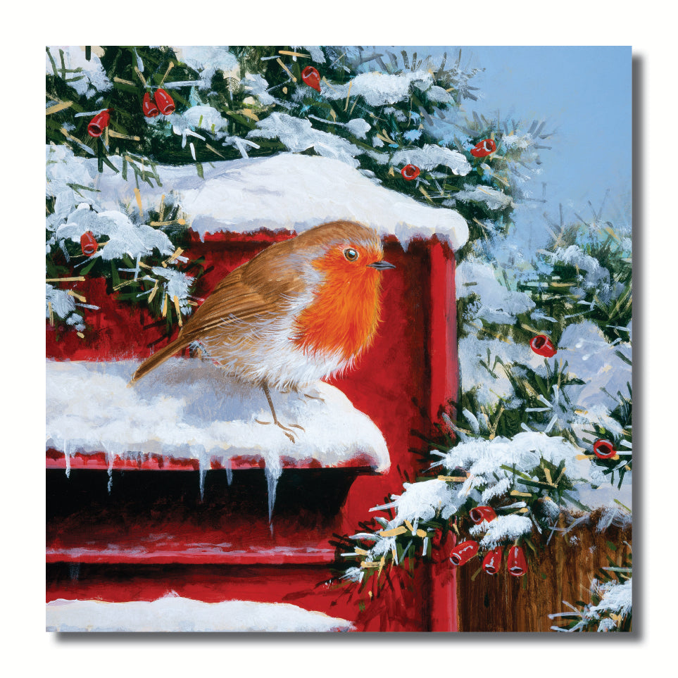 KH53c - Robin Redbreast