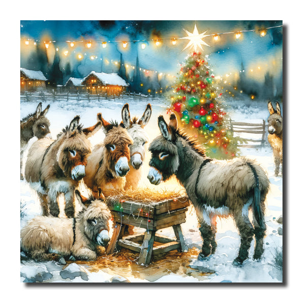 KJ34c - Feeding Time