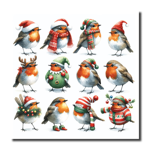 Christmas Robins - KJ49c