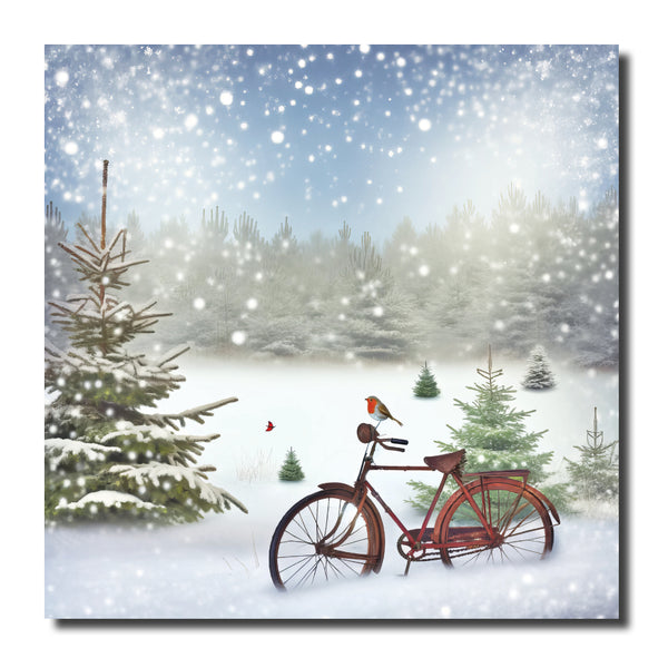 KK45c - Robin on the Bicycle