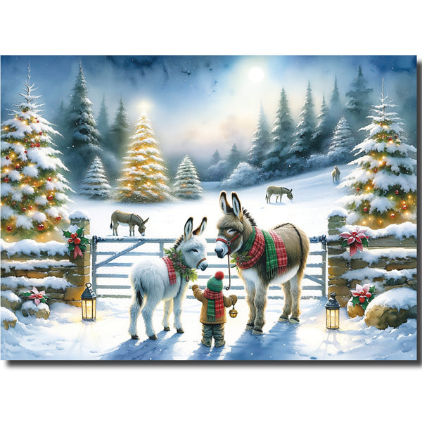 KL14b - Visiting the Donkeys